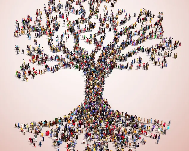 Atelier „Constelații Familiale”