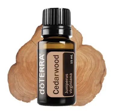 Uleiul esențial de LEMN de CEDRU – Cedarwood