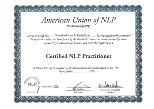 NLP Practitioner