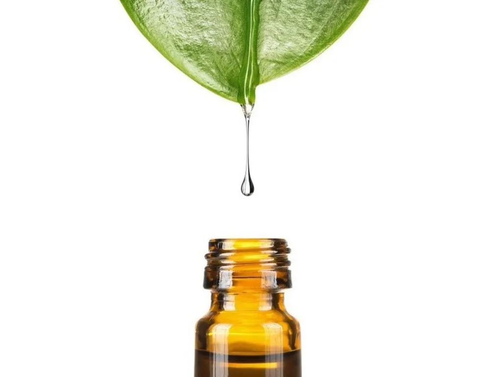 Aplicarea Uleiurilor Esențiale - Aromaterapie